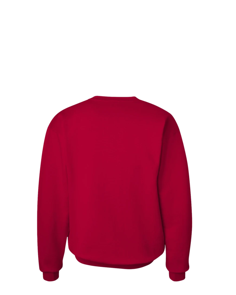 Image of a model wearing a F260 Hanes Ultimate Cotton Crewneck