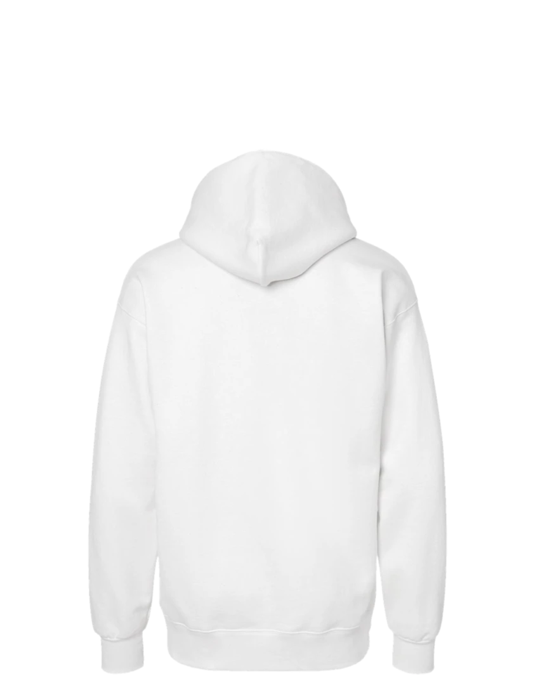 Image of a model wearing a F170 Hanes Pullover Hooded Sweatshirt