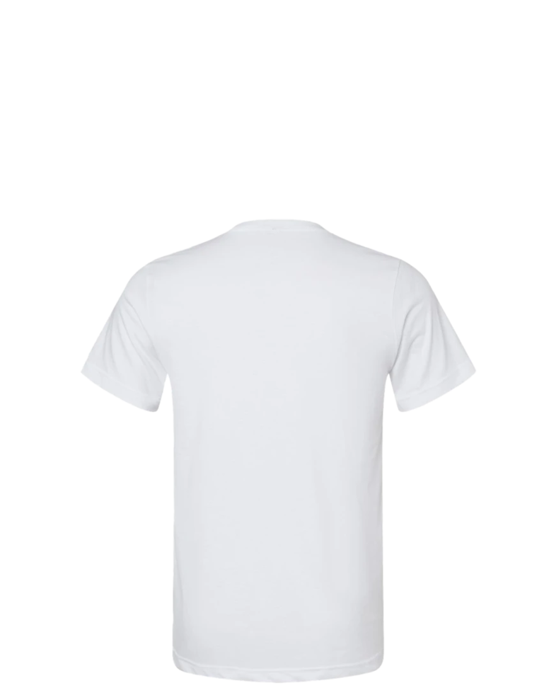 Image of a model wearing a 3005CVC Bella + Canvas Unisex Heather CVC V-Neck Tee