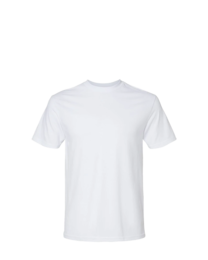 Image of a model wearing 2001CVC American Apparel Unisex CVC Tee