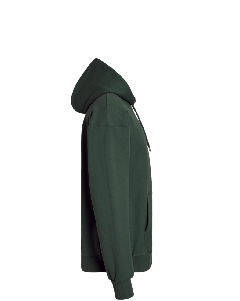 Image of a model wearing a F170 Hanes Pullover Hooded Sweatshirt