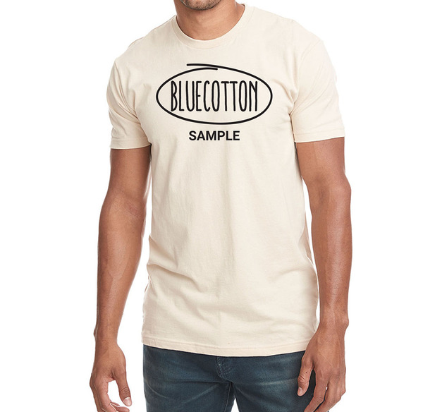 NL3600 Next Level Premium Fitted Short Sleeve Crew Tee