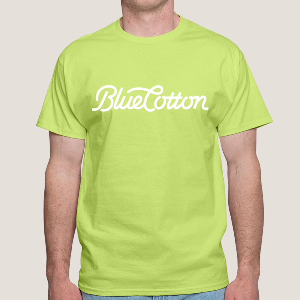 Image of 5250 Hanes Authentic Tee