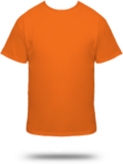 Short Sleeve T-Shirts:  2000 Gildan Ultra Cotton Tee